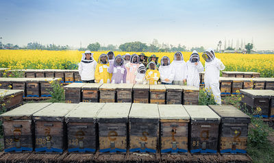 China Bee Star-----------Make Your Bees Be Great Star Perfil de la compañía