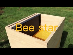 Kit de caja de colmena Langstroth sin ensamblar para abejas, equipo de apicultura de madera