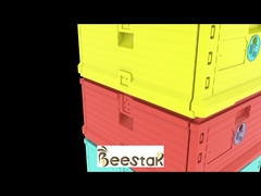 Abejero térmico de plástico de grado alimenticio para 10 cuadros con trampa de polen, dos capas