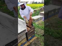 Mayorista 100% miel de abeja natural de alta calidad pura crudo orgánico miel de hierbas tradicionales