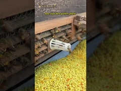 Mayorista 100% miel de abeja natural de alta calidad pura crudo orgánico miel de hierbas tradicionales