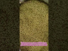 Alimentos naturales Polen fresco mezclado Polen de abeja crudo Polen de abeja bajo en grasa para humanos o abejas