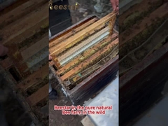 Miel natural dulce puro crudo de varias flores Miel de abeja natural Miel orgánico de poliflores