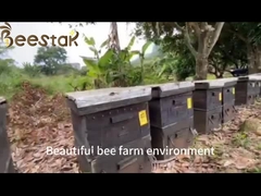 Fabrica mayorista 100% miel de sidra orgánica HALAL Madura miel fresca de Yemen sin aditivos