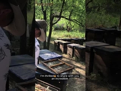 Venta al por mayor de alta calidad 100% natural Pura miel de bosque de matorrales sin aditivos miel de abeja natural