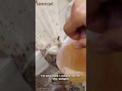 Polen de abeja crudo