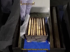 Polen de violación granular grande Miel Polen de abeja crudo para seres humanos y abejas