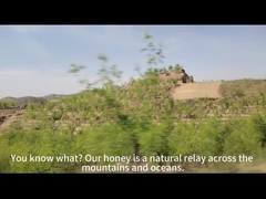 Miel de Manuka UMF10+(250g) miel de abeja natural de Nueva Zelanda miel pura en bruto