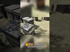 Polen de violación granular grande Miel Polen de abeja crudo para seres humanos y abejas