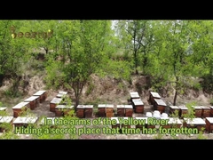 Beestar miel de sidra natural fresca sin ningún aditivo miel de abeja natural miel cruda para la salud