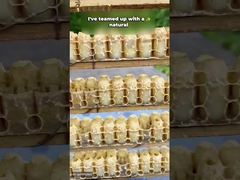 Mejor precio jalea real fresca pura en polvo liofilizado