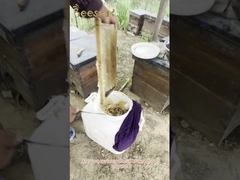 100% Miel de Abeja Cruda Pura Orgánica Miel de Abeja Natural Alimento Saludable