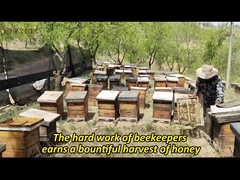 Miel de Manuka 100% natural MGO100+ UMF5+ Miel de abeja natural de Nueva Zelanda