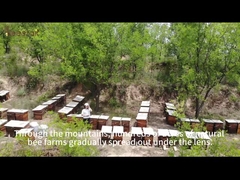 Siempre adherirse al principio de 