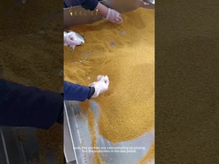 Siempre nos adherimos al principio de 