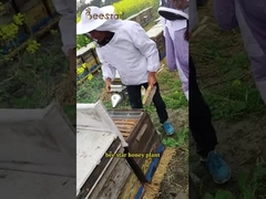 Miel de abeja orgánica natural Miel de Sidr con aroma y color distintivos