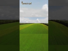 Nuestra base ecológica de apicultura está lejos de la contaminación