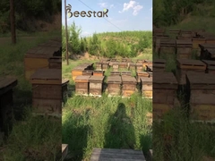 Miel natural puro, sin aditivos, concentrado a baja temperatura