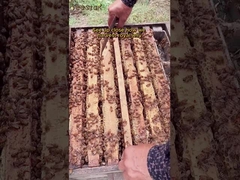 Gran venta en el mercado Jalea Real Fresca Orgánica Natural de Grado Alimenticio Puro