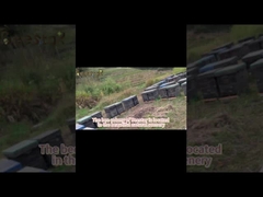 Gránulos de Polen de Abeja Multiflores Naturales a Granel 25kg Grado Alimenticio