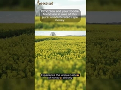 100% miel cruda pura miel de violación natural miel de abeja natural sin ningún aditivo alimentos saludables