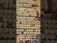 10-HDA Jalea Real Orgánica Fresca Jalea Real Pura para el cuidado de la salud