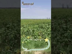 Polvo mezclado puro del polen de la abeja del 100%