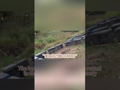 Gránulos de Polen de Abeja Multiflores Naturales - Grado Alimenticio a Granel