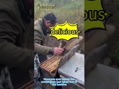 500g Miel de abeja natural en panal multifloral amarillo claro, grado alimenticio