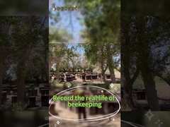 Miel de abeja natural fresca Beestar sin ningún aditivo Miel de abeja natural Miel cruda para el cuidado de la salud