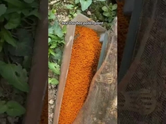 Polen de abeja fresco y crudo personalizado, vitaminas, abejas, nuevo, fresco, productos naturales de abeja