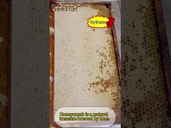 La miel de peine natural no sólo es deliciosa, sino también rica en diversos nutrientes