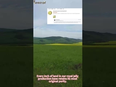 Jalea Real Fresca Orgánica Beestar para la Salud Humana, ampliamente elogiada