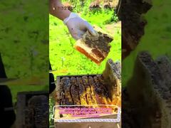 100% miel natural de cítricos miel pura cruda alimentos saludables miel de abeja natural para venta al por mayor