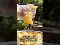 Miel 100% Natural Miel Pura Cruda Alimento Saludable Miel de Abeja Natural al por Mayor