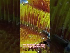 Miel de abeja cruda Miel de abeja natural de apicultura natural cuidado diario Miel de abeja natural