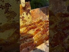 ¿Alguna vez te has preguntado a qué sabe realmente la dulzura más exquisita e intacta del mundo?