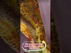 la miel girada a mano puede conservar mejor los nutrientes y el sabor original de la miel