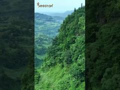 Te llevaremos a visitar nuestra granja de abejas ubicada en lo profundo de las montañas y te acercarás a la naturaleza.