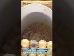 ¿Sabes cómo se recolecta la jalea real?