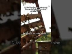 Jalea Real Fresca Orgánica 10-HDA Natural High, Jalea Real Pura para el cuidado de la salud