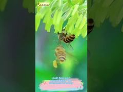 ¡Mira esta textura fluida! ¡Esta es verdaderamente la 