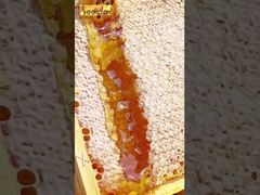 El momento curativo de la miel, una dulzura natural que te enamora en un bocado.