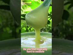 Tableta de Jalea Real 10-HDA al por mayor con paquete de bolsa de aluminio