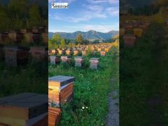 Todo el paisaje montañoso se ha transformado en un sabor dulce y refrescante en la punta de la