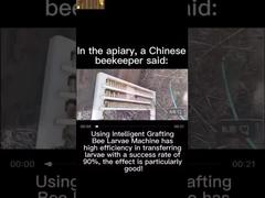 Equipo de inseminación artificial de la abeja reina versión estándar con kits para experimentos agrícolas