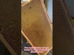 Una Mirada Más Cercana: Crema de Nieve a Granel Sin Aditivos Cristalización de Miel Miel Cristal Miel Natural