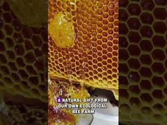 Una Mirada Más Cercana: Nueva Llegada Natural Un regalo natural de nuestra propia granja ecológica de abejas