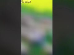 Presentamos Crema de Miel Blanca Natural Pura, Crema de Nieve de Miel para Ti