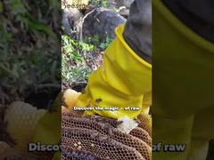 A Closer Look: Bee Star 100% Natural Oak Honey Pure Raw Honey Organic Natural Bee Honey